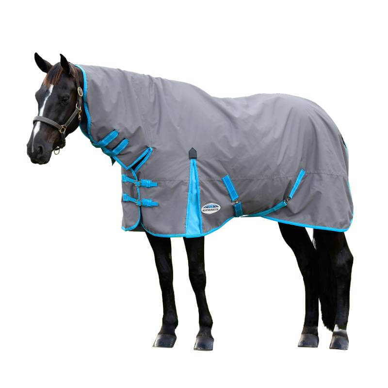 Black horse in a Weatherbeeta Comfitec Classic Combo Neck Lite Plus on white background.