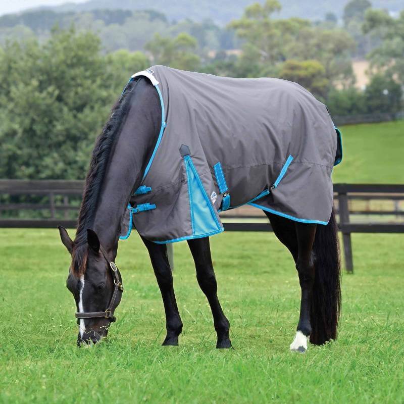 A black horse in a Weatherbeeta Comfitec Classic Standard Neck Lite Plus stands by a fence.