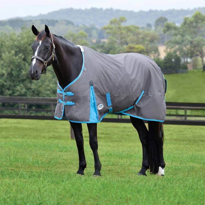 A black horse in a Weatherbeeta Comfitec Classic Standard Neck Lite Plus stands by a fence.