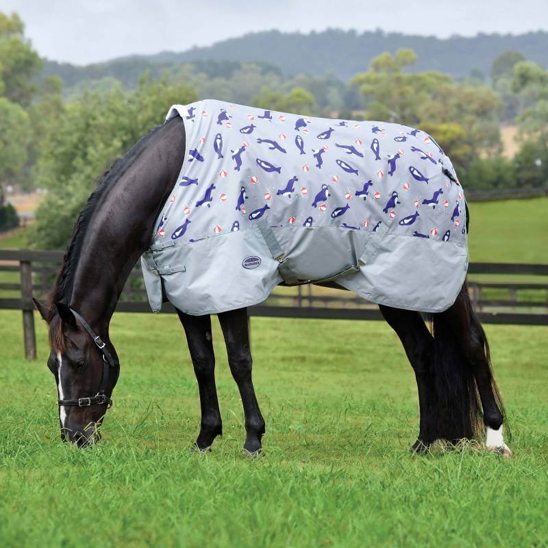 A black horse in a Weatherbeeta Comfitec Tyro Lite Plus Seal Print rug grazes on grass.