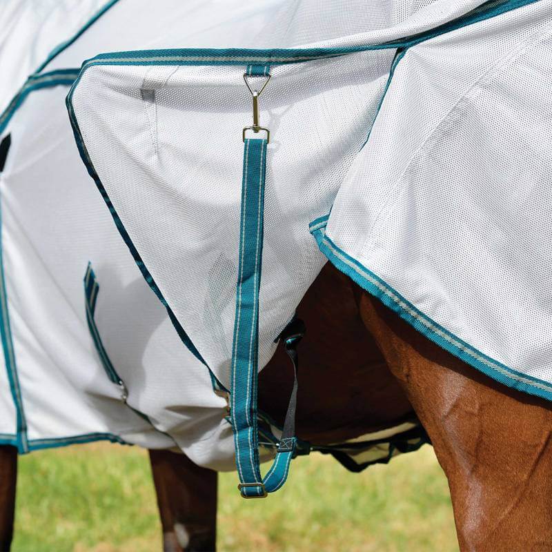 A close-up of a horse in a Weatherbeeta Comfitec Zephyr Plus Mesh Combo Neck fly rug.