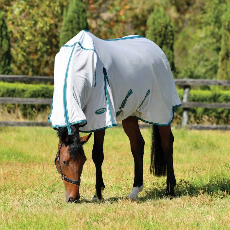 A horse in a Weatherbeeta Comfitec Zephyr Plus Mesh Combo grazes on grass in a fenced field.