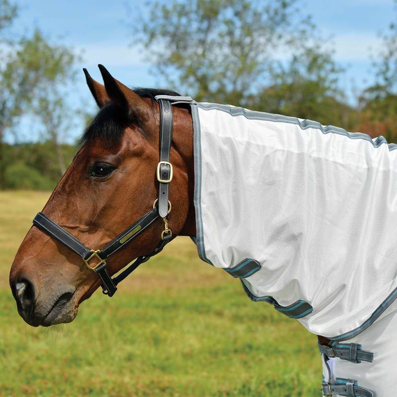 A brown horse wears a Weatherbeeta Comfitec Essential Mesh II fly rug in white/grey/blue.
