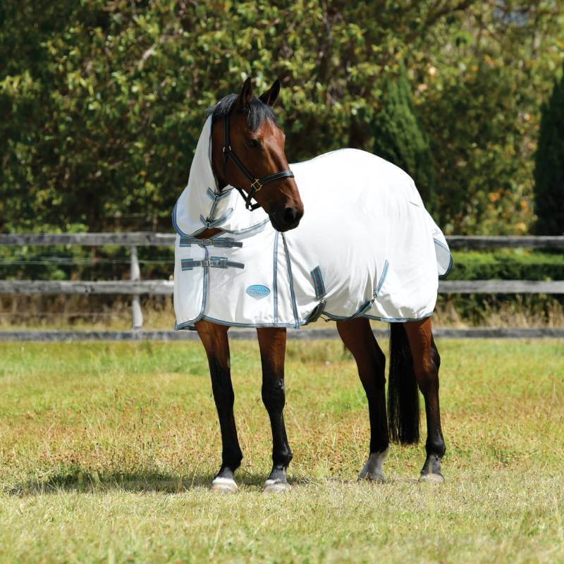 A brown horse in a Weatherbeeta Comfitec Essential Mesh II blanket stands on grass by a fence.