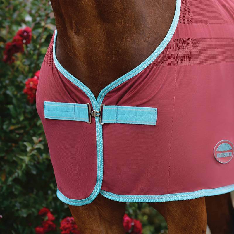 Brown horse in a red Weatherbeeta Scrim Cooler stands by a flowering bush near the stable.