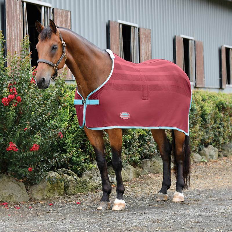 Brown horse in a red Weatherbeeta Scrim Cooler stands by a flowering bush near the stable.