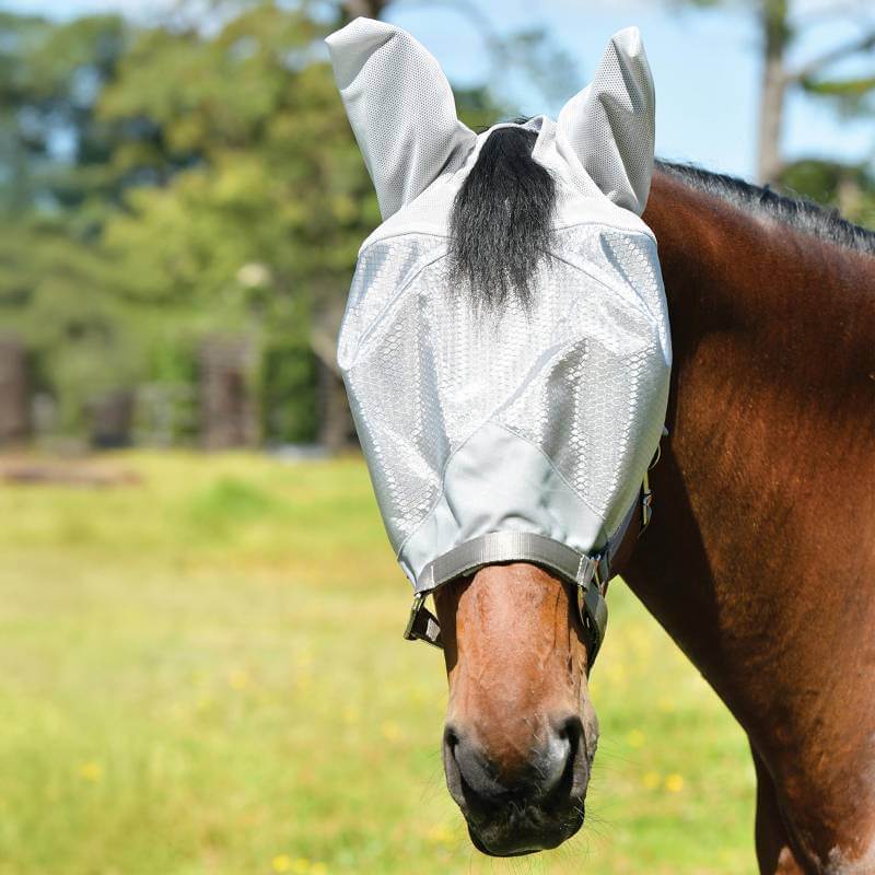 Brown horse in a Weatherbeeta ComFiTec Hexi Shield Dual Fly Mask with UV protection.