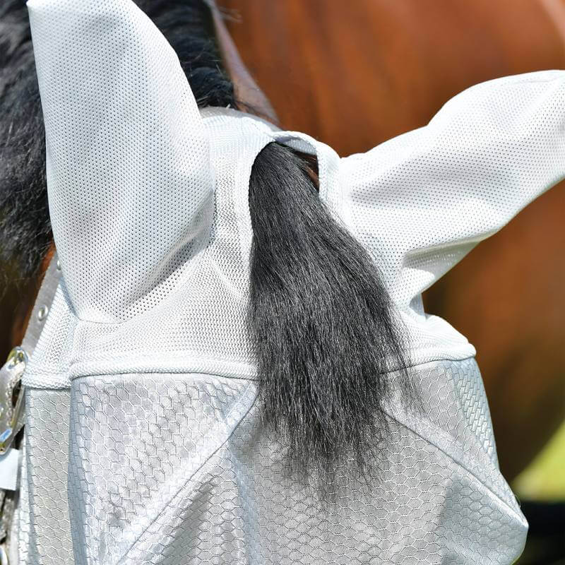 A close-up of a horse in a Weatherbeeta ComFiTec Hexi Shield Dual Fly Mask with UV protection.