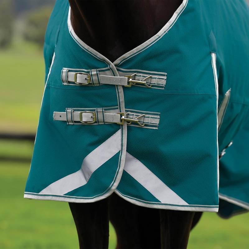 Close-up of a horse in a Weatherbeeta Comfitec Plus Dynamic II Detach-A-Neck Lite rug.