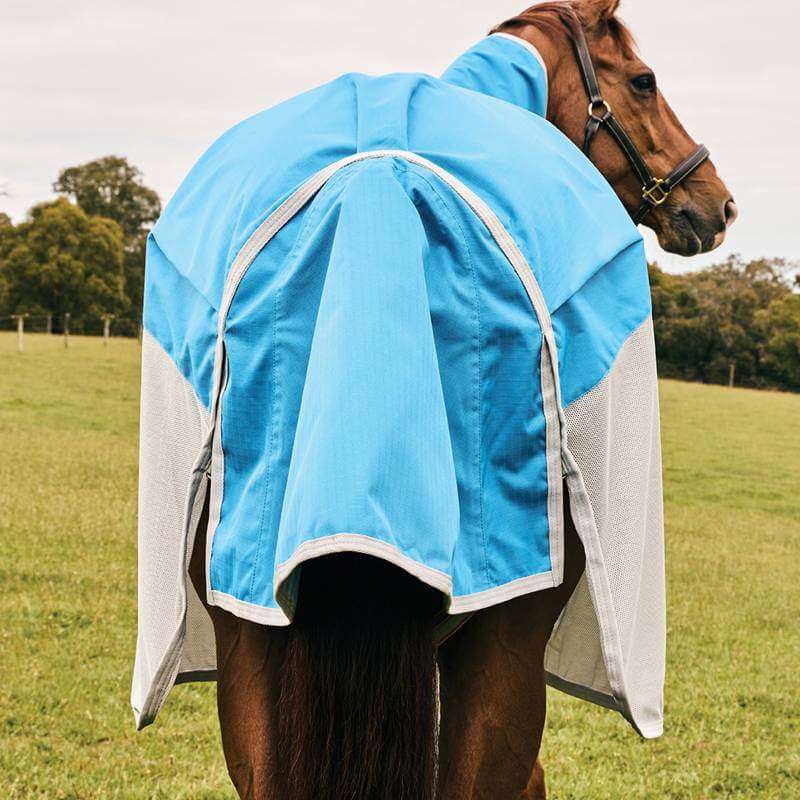 A horse in a Weatherbeeta Comfitec Dual Shield rug stands in a grassy field, facing away.