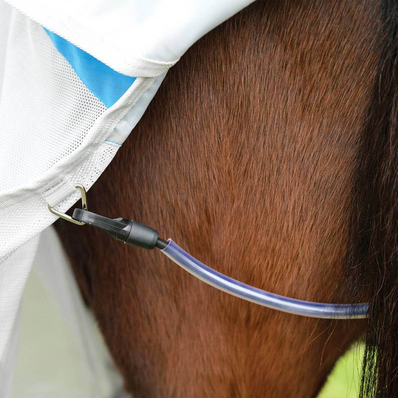 Close-up of Weatherbeeta Comfitec Dual Shield rug in blue/grey on a horse for protection.