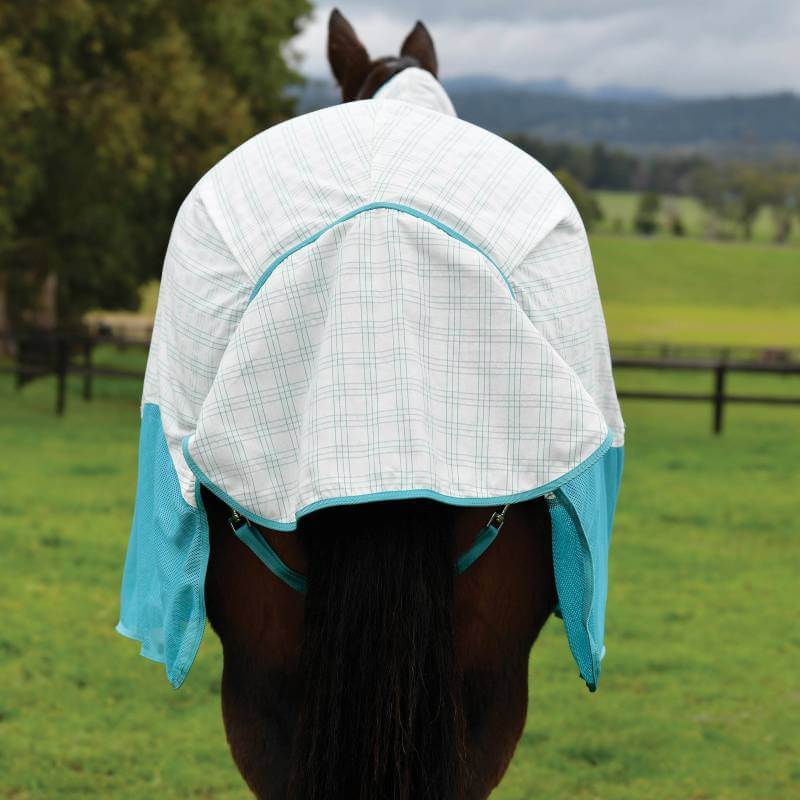 A horse in a Weatherbeeta Kool Coat Cotton Airstream II Detach-A-Neck stands on grass outside.