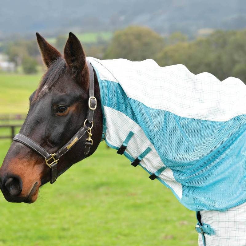 A horse wears a Weatherbeeta Kool Coat Cotton Airstream II Detach-A-Neck in a grassy field.