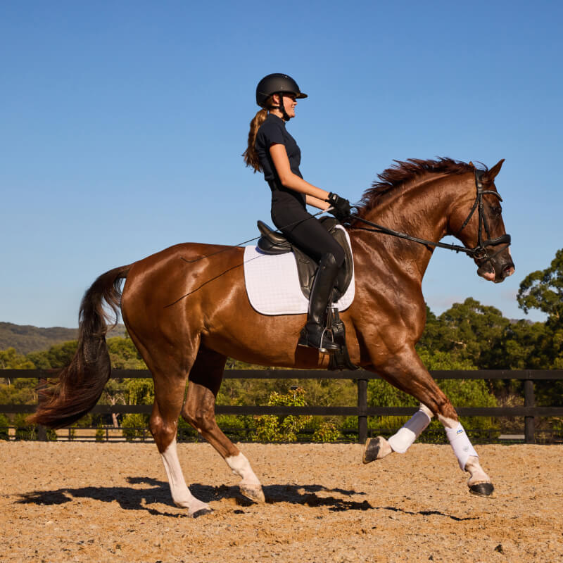 Woman rides a brown horse with a Weatherbeeta Prime Air-Tec Dressage Saddle Pad in white.
