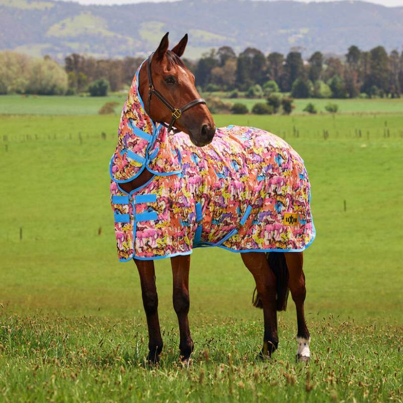 A horse wears the Saxon Mesh Lightweight Combo Fly Rug in a field with hills in the background.