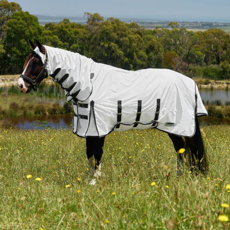 A horse wears the Weatherbeeta Comfitec Sweet Itch Shield Fly Sheet in a grassy, tree-lined field.
