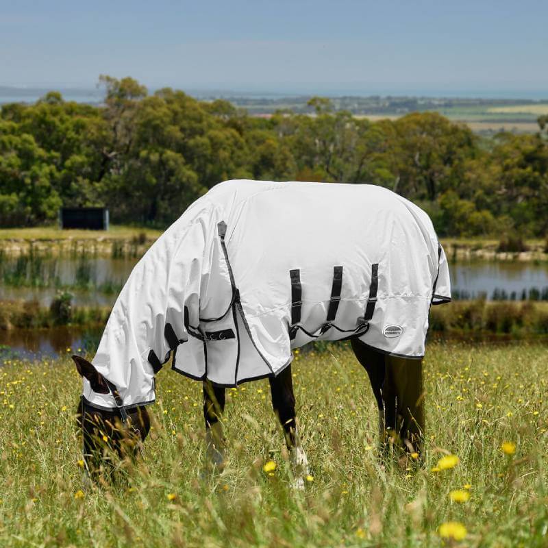 A horse in a Weatherbeeta Comfitec Sweet Itch Shield Fly Sheet grazes by trees and water.