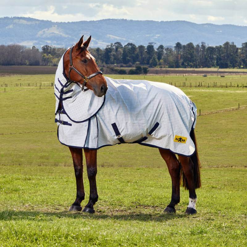 A horse in a Saxon Kool Coat Classic Lightweight Combo Neck Fly Rug stands in a grassy field.