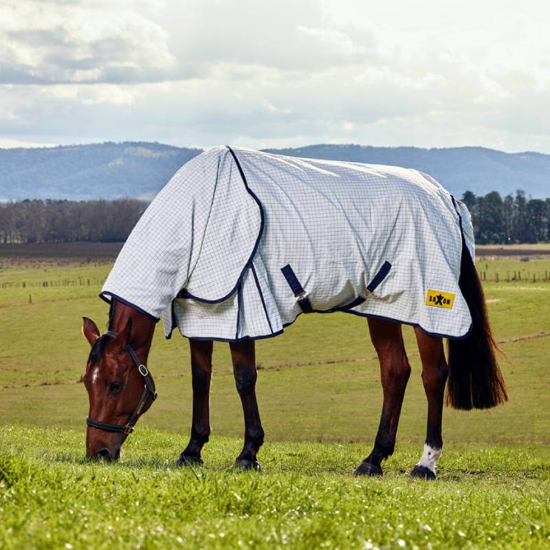Saxon Kool Coat Classic fly rug keeps a brown horse comfy as it grazes in a green, hilly field.