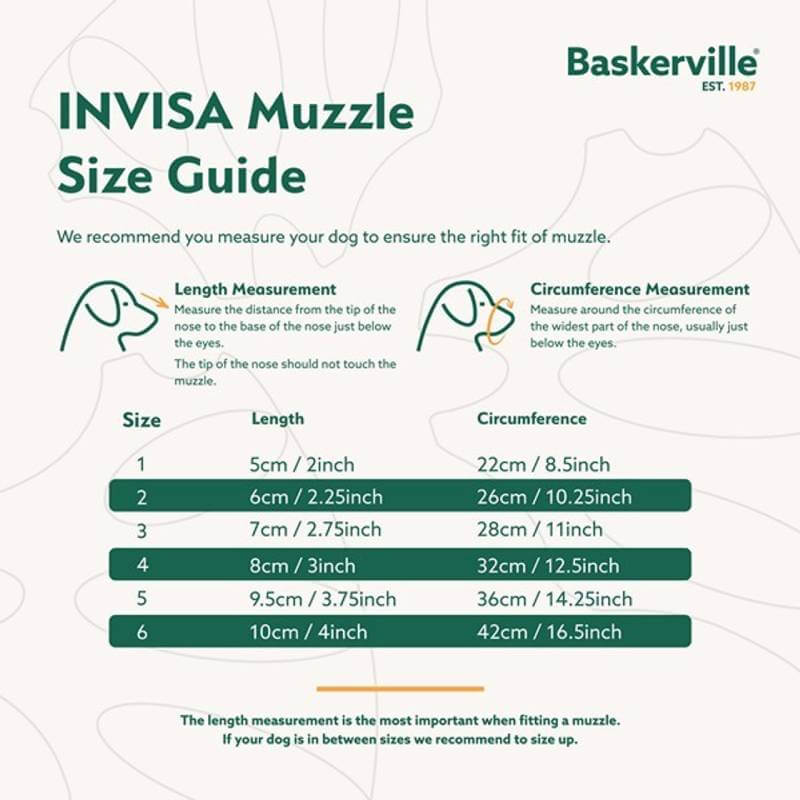 Baskerville Invisa Muzzle size chart with length and circumference details.