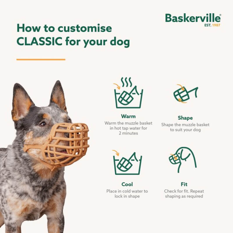 A dog wears a Baskerville Classic Basket Muzzle; customization instructions are shown.