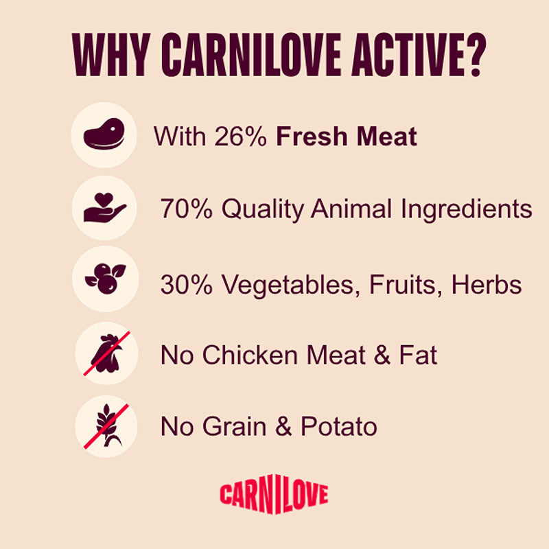 Carnilove Active Lamb & Wild Boar Dog Food: grain-free ingredients & features infographic.