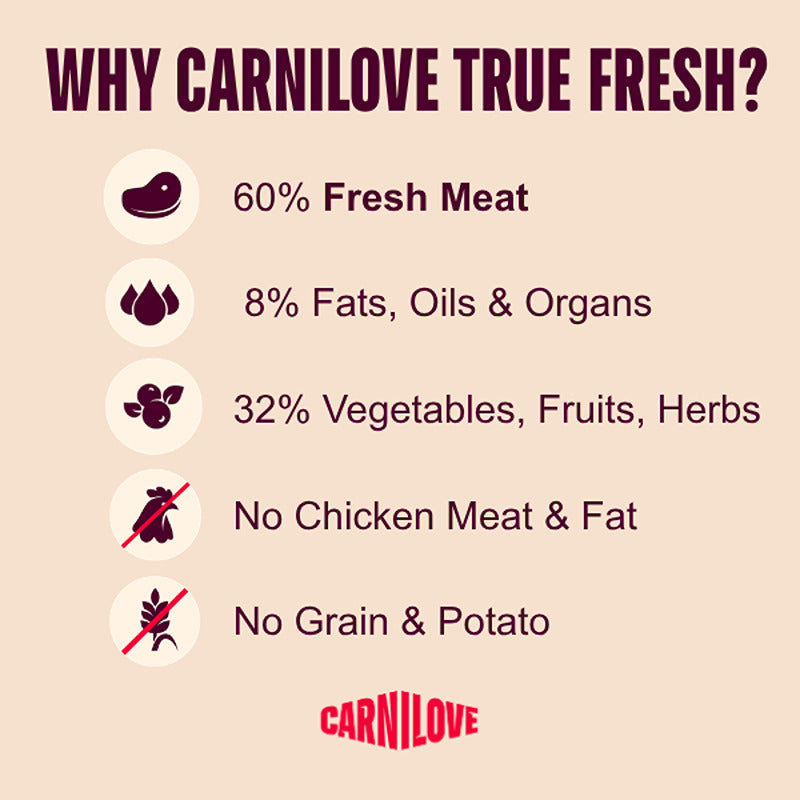 Infographic of Carnilove True Fresh Duck Junior Large Breed Dog Food ingredients and exclusions.