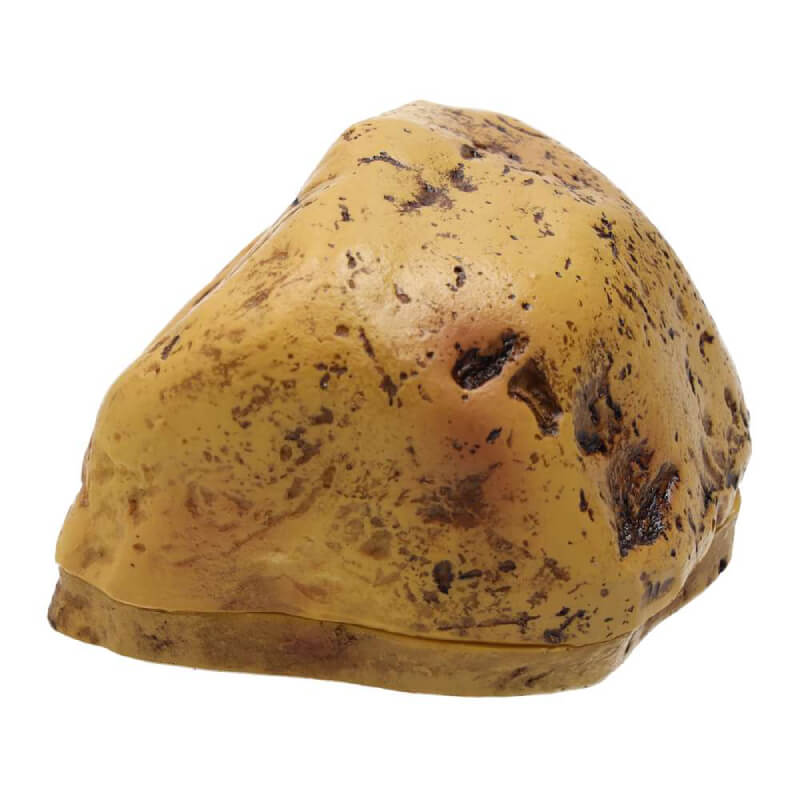 ProRep Rock Shedding Cave Medium: A realistic yellow-brown reptile hide with dark spots.