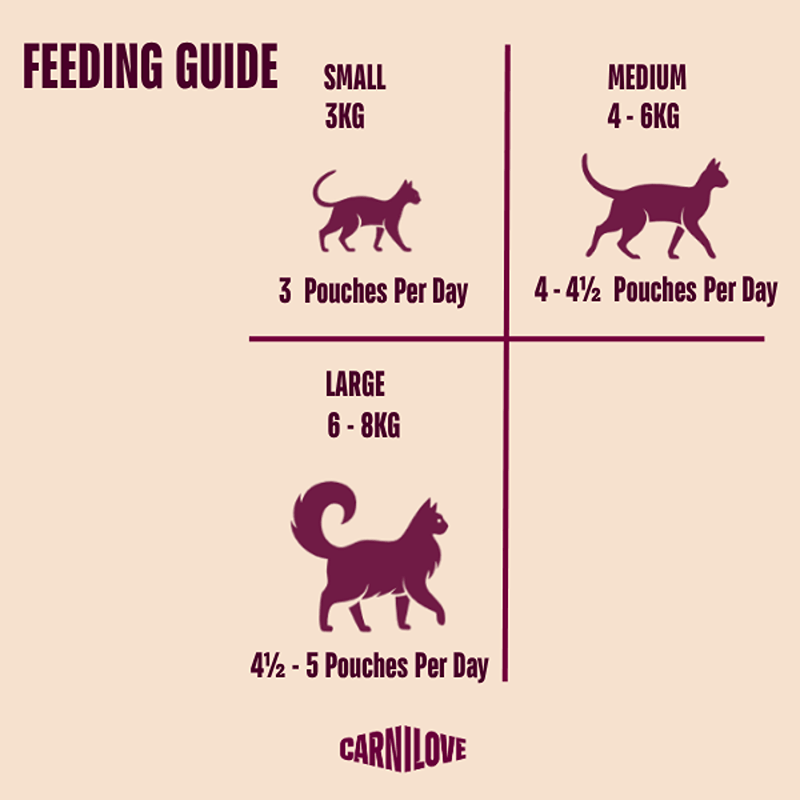 Daily feeding tips for all cats with Carnilove Jelly Quail & Dandelion 85g pouch.