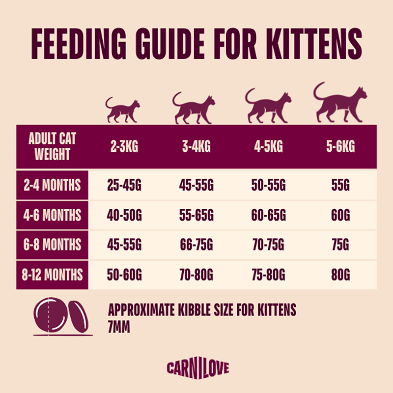Carnilove kitten feeding chart by age and kibble size for True Fresh Beef Kitten Food.