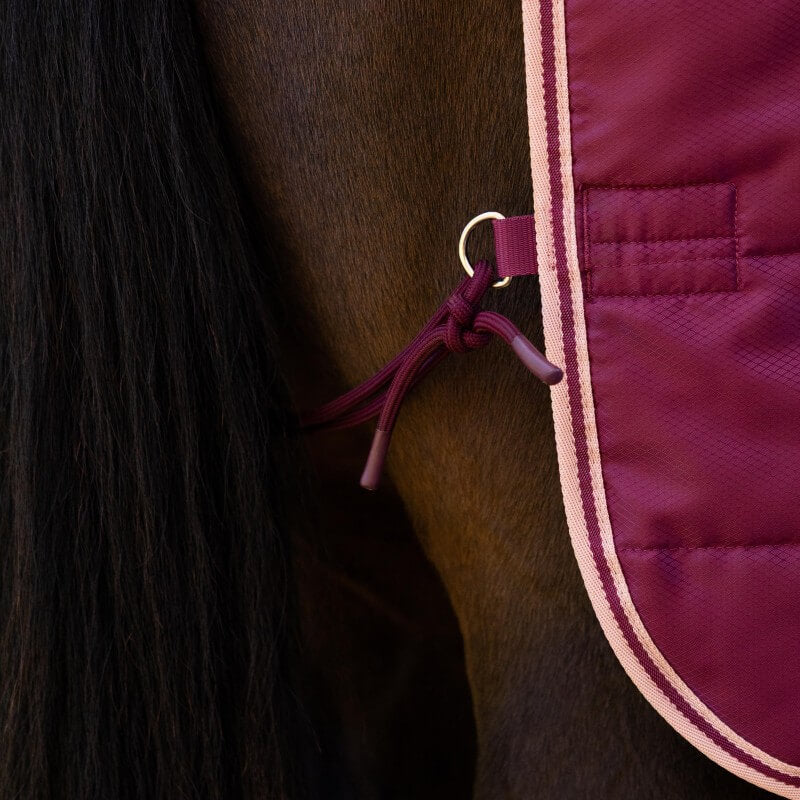 LeMieux Arika Stable-Tek Rug with Neck Medium Weight 200g Blackberry