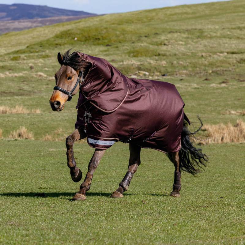 Lemieux Arika Ripstop 200G Detachable Neck Turnout Rug Bramble