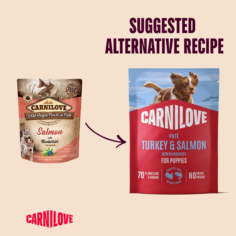Carnilove Turkey & Salmon with Blueberries Puppy Dog Food Pouch 300g—grain-free recipe.