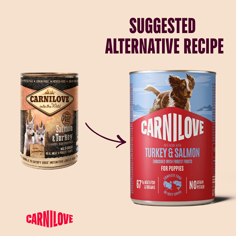 Carnilove Turkey & Salmon Puppy Dog Food 400g Can, featuring a playful dog illustration.