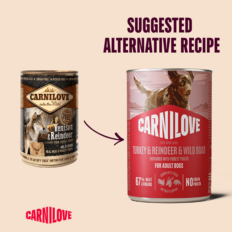 Carnilove Turkey, Reindeer & Wild Boar Dog Food 400g Can; grain-free, for adult dogs.