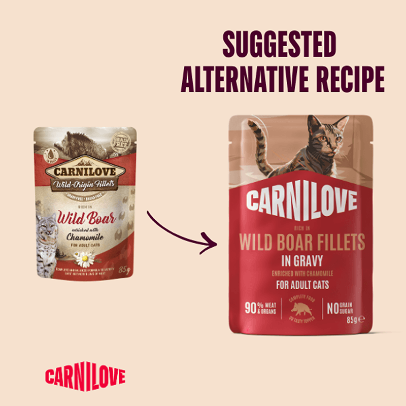 Two Carnilove Gravy Wild Boar with Chamomile 85g pouches, plus an alternative recipe suggestion.