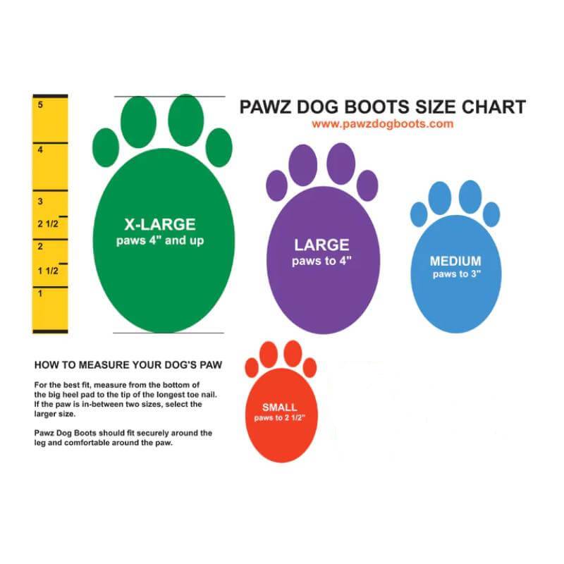 Four dogs wear Pawz Dog Boots 12 Pack; Pawz logo appears in the top right corner.