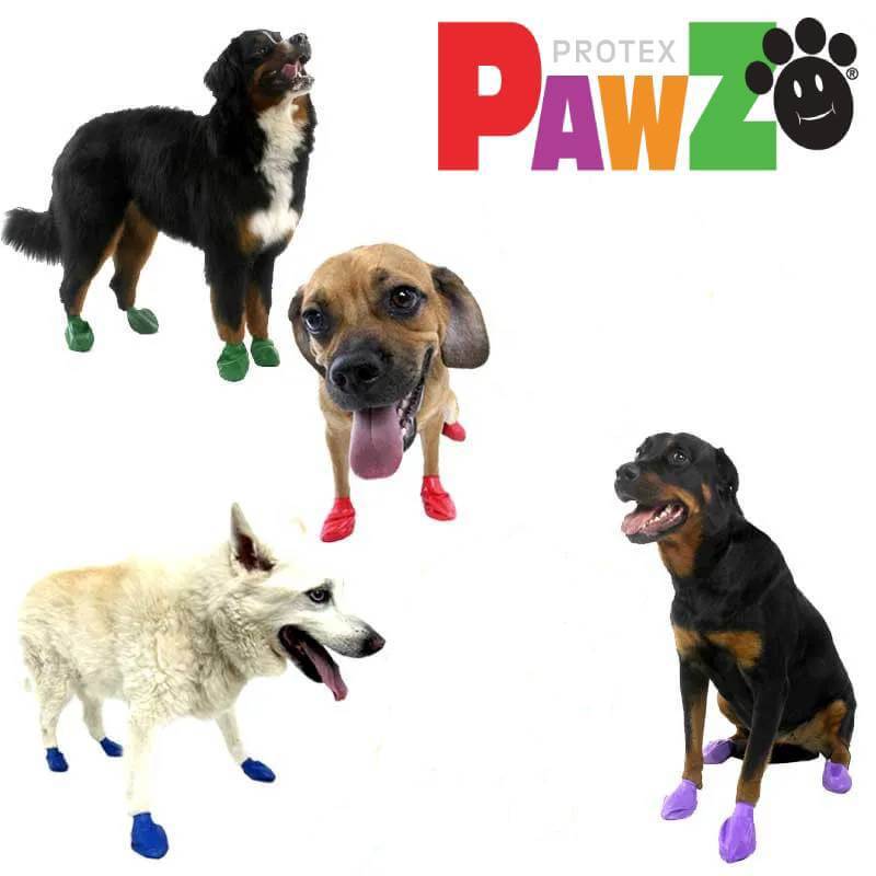 Four dogs wear Pawz Dog Boots 12 Pack; Pawz logo appears in the top right corner.