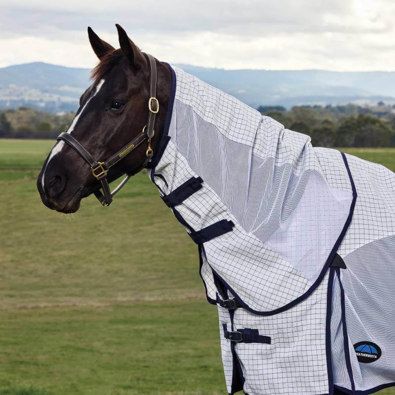 A horse in a Weatherbeeta Airstream Combo Neck Rug stands in a grassy field with hills behind.