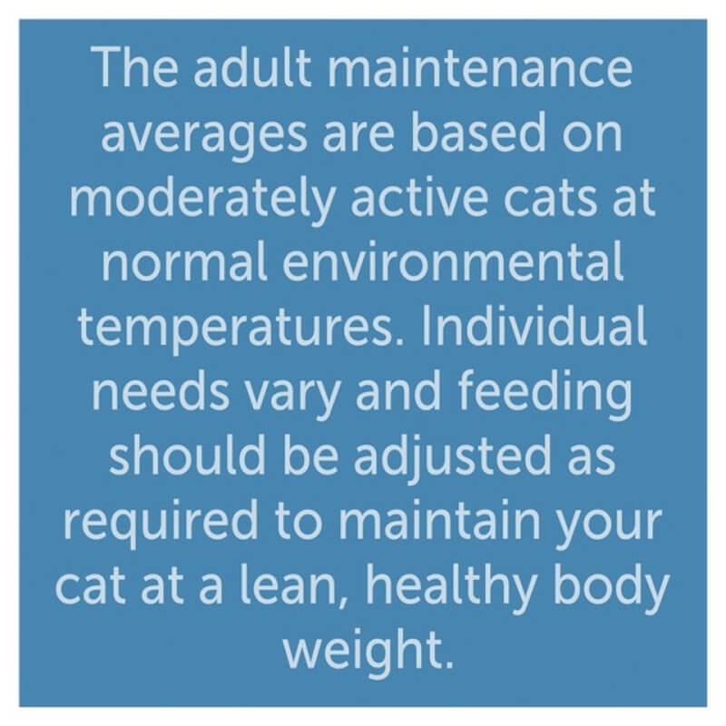 Text reads: Adjust Felix Original Mixed Selection in Gravy for your adult cat's healthy weight.
