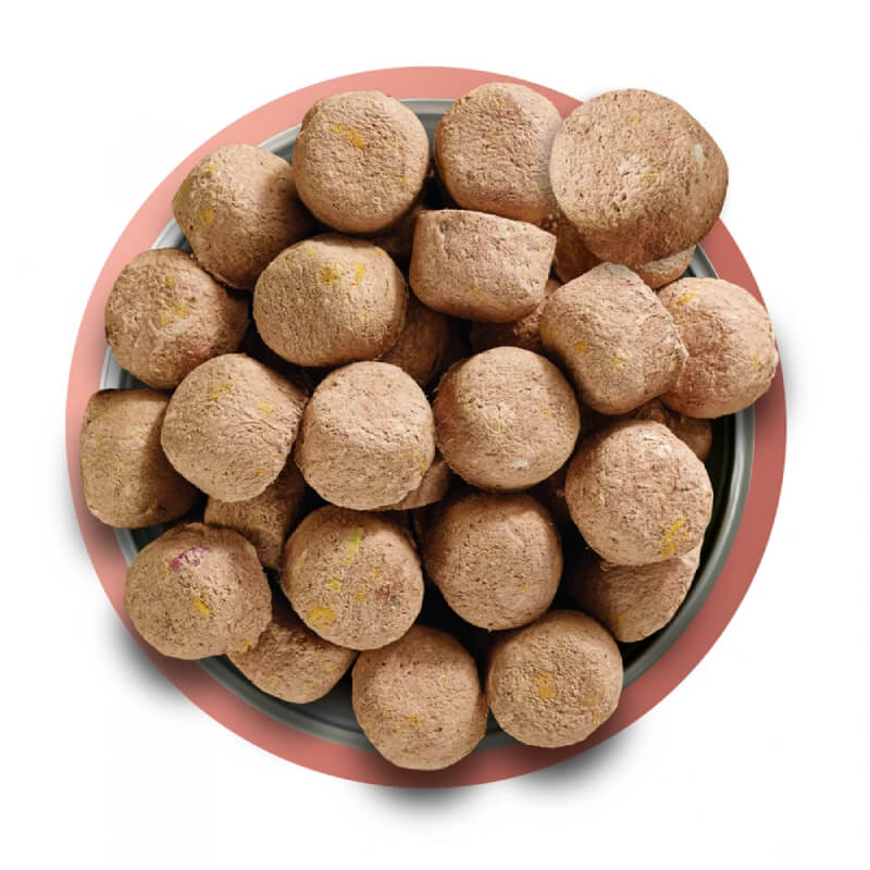 Natures Menu Complete Freeze Dried 80/20 Beef dog food on a pink-rimmed plate.