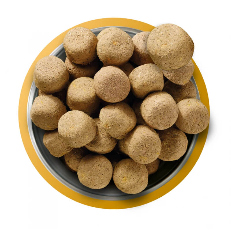 A bowl of Natures Menu Complete Freeze Dried 80/20 Chicken dog food on a white background.