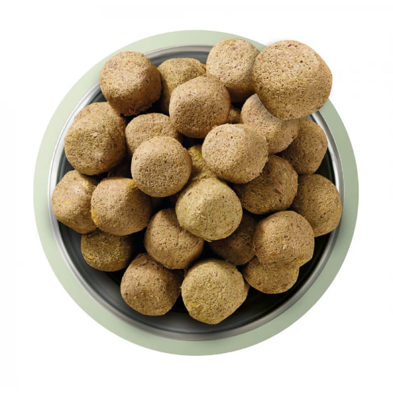 Natures Menu Complete Freeze Dried 80/20 Lamb dog food kibble seen from above.