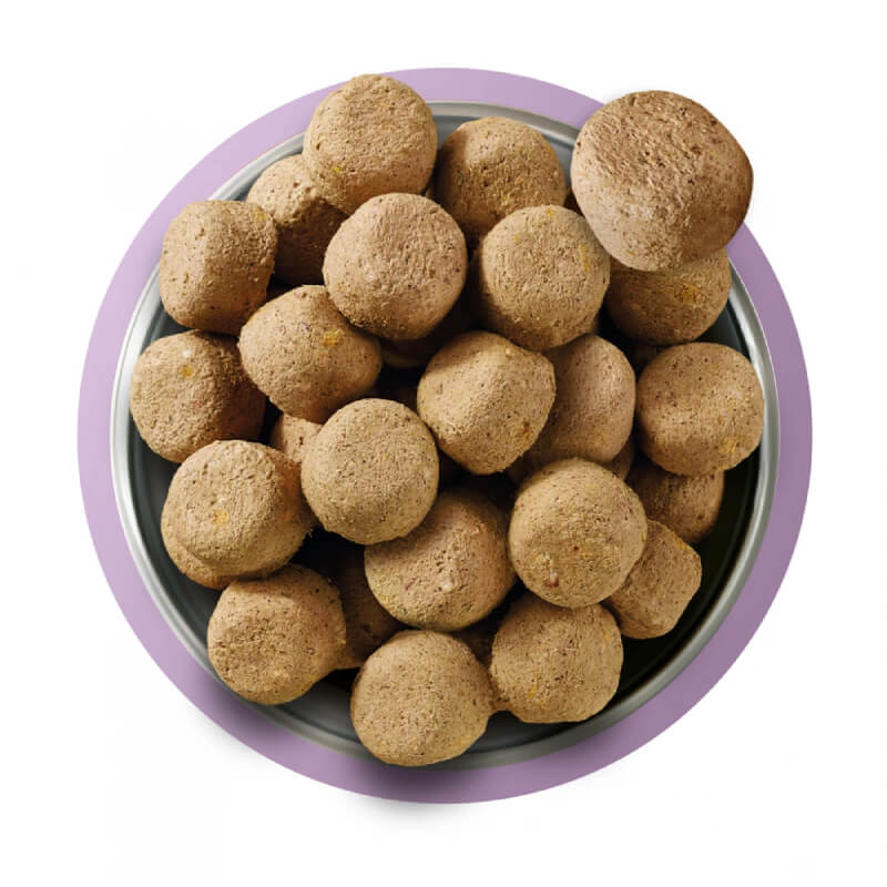 A bowl of Natures Menu Complete Freeze Dried 80/20 Turkey dog food on a purple-rimmed plate.
