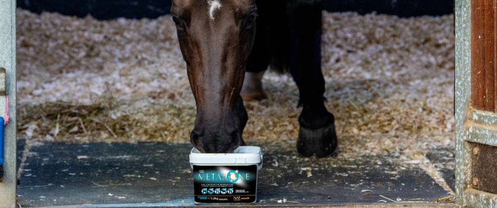 The Benefits of and Why You Should Be Using NAF Metazone on Your Horse