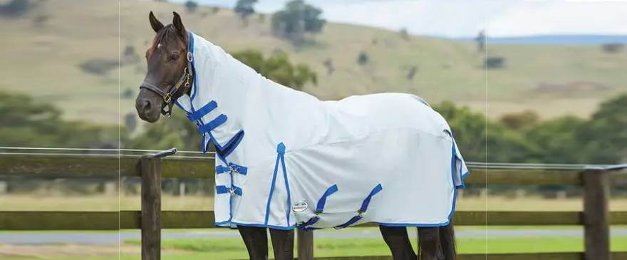 Protect Your Horse with the Ultimate WeatherBeeta Comfitec 600D/Mesh II Combo Neck Fly Rug