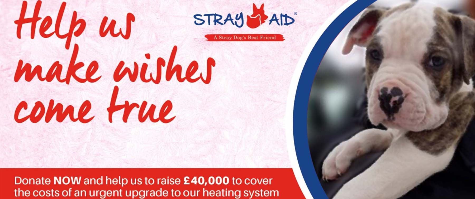 Stray Aid - The Urgent Heating Upgrade Appeal