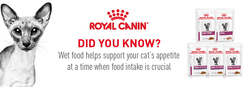 Chronic Kidney Disease in Cats - Royal Canin