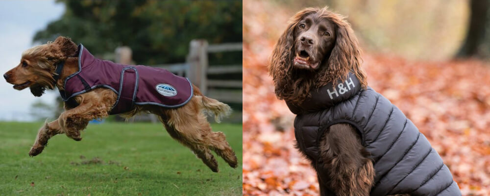 Embracing Winter Adventures: The Ultimate Guide to Dog Coats
