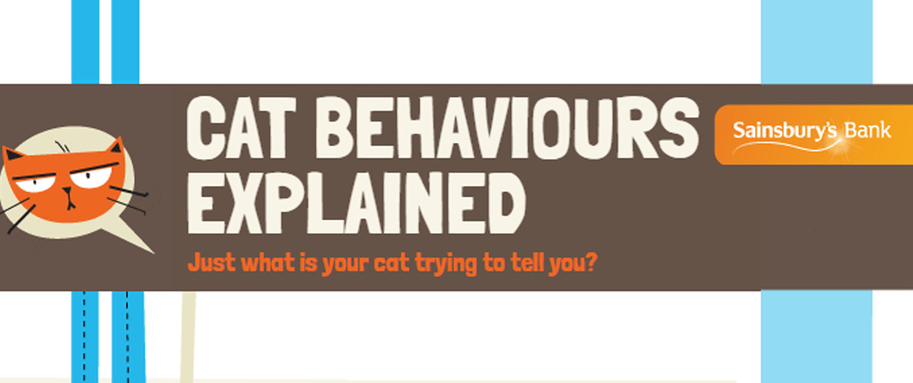 Sainsbury's Bank: Cat Behaviours Explained!